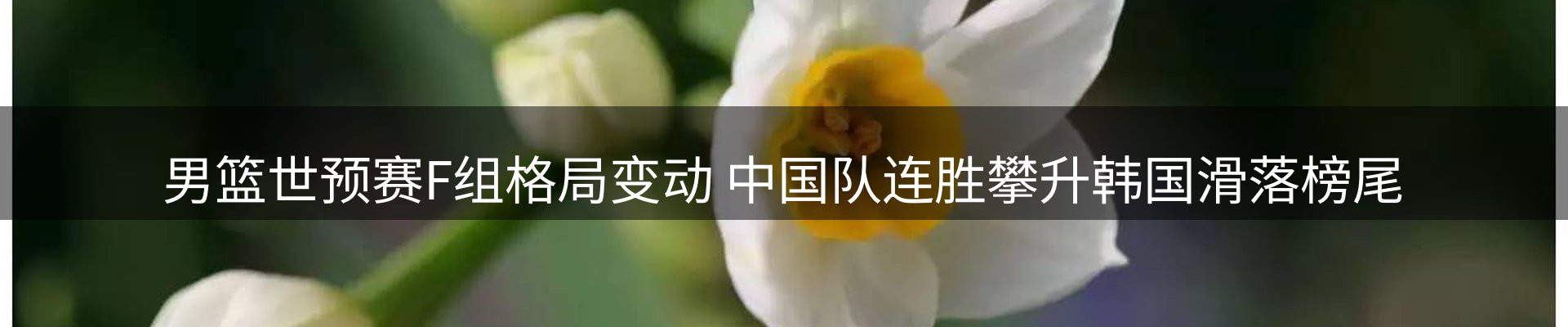 品牌简报