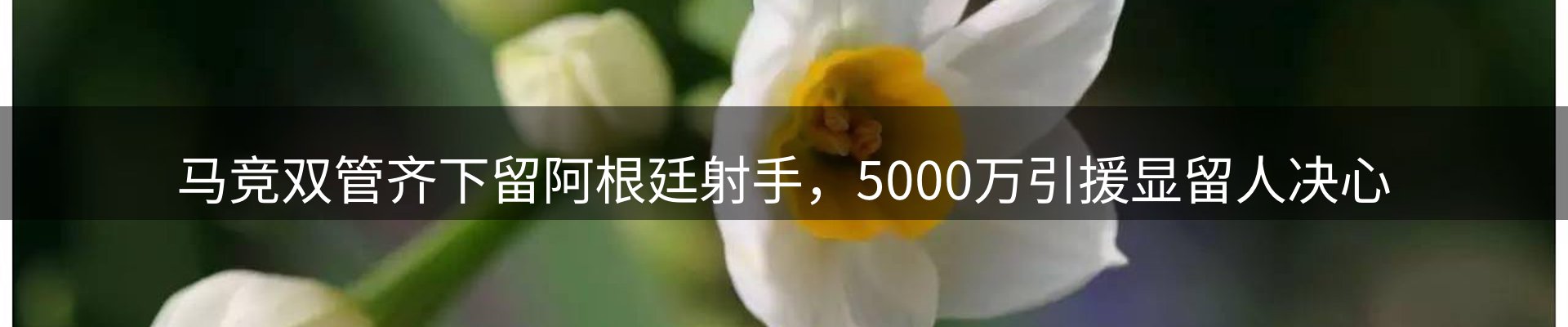平台资讯